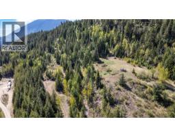 Planned Lot 2 Tappen Notch Hill Road, Tappen, BC V0E2X3 Photo 14