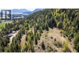 Planned Lot 2 Tappen Notch Hill Road, Tappen, BC V0E2X3 Photo 15