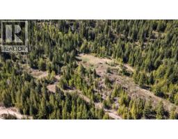 Planned Lot 2 Tappen Notch Hill Road, Tappen, BC V0E2X3 Photo 17