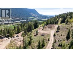 Planned Lot 2 Tappen Notch Hill Road, Tappen, BC V0E2X3 Photo 6