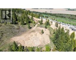 Planned Lot 2 Tappen Notch Hill Road, Tappen, BC V0E2X3 Photo 9