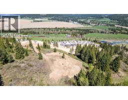 Planned Lot 2 Tappen Notch Hill Road, Tappen, BC V0E2X3 Photo 10
