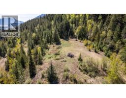 Planned Lot 2 Tappen Notch Hill Road, Tappen, BC V0E2X3 Photo 19