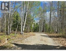 52 Shamrock Valley, Big River, NB E2A7M1 Photo 47