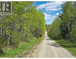 52 Shamrock Valley, Big River, NB E2A7M1 Photo 48