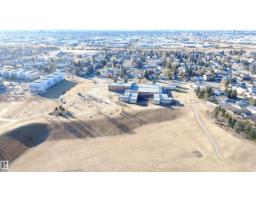 4203 83 St Nw, Edmonton, AB T6K1C8 Photo 48