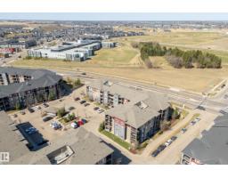 #314 3211 James Mowatt Tr Sw Sw, Edmonton, AB T6W3L6 Photo 30