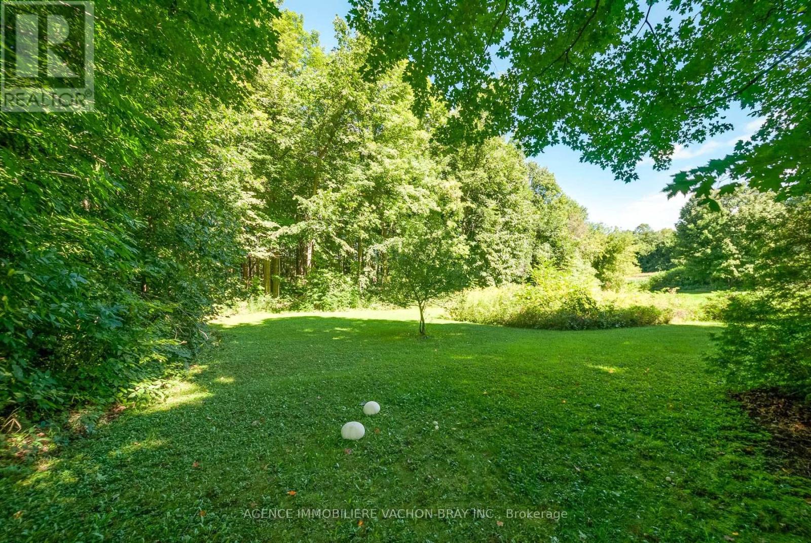 20233 MAPLE ROAD - Image 39