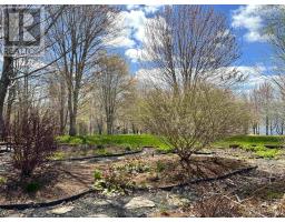 10797 Highway 105, Aberdeen, NS B0E3M0 Photo 25