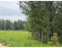 Lot 7 Buck Lake Estates, Rural Wetaskiwin County, AB T0C0C0 Photo 8