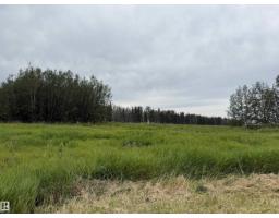 Lot 7 Buck Lake Estates, Rural Wetaskiwin County, AB T0C0C0 Photo 10