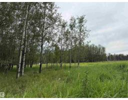 Lot 7 Buck Lake Estates, Rural Wetaskiwin County, AB T0C0C0 Photo 6