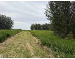 Lot 7 Buck Lake Estates, Rural Wetaskiwin County, AB T0C0C0 Photo 9