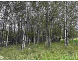 Lot 7 Buck Lake Estates, Rural Wetaskiwin County, AB T0C0C0 Photo 7