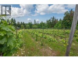 Primary Bedroom - 13520 Roundup Dr, Ladysmith, BC V9G1H4 Photo 7