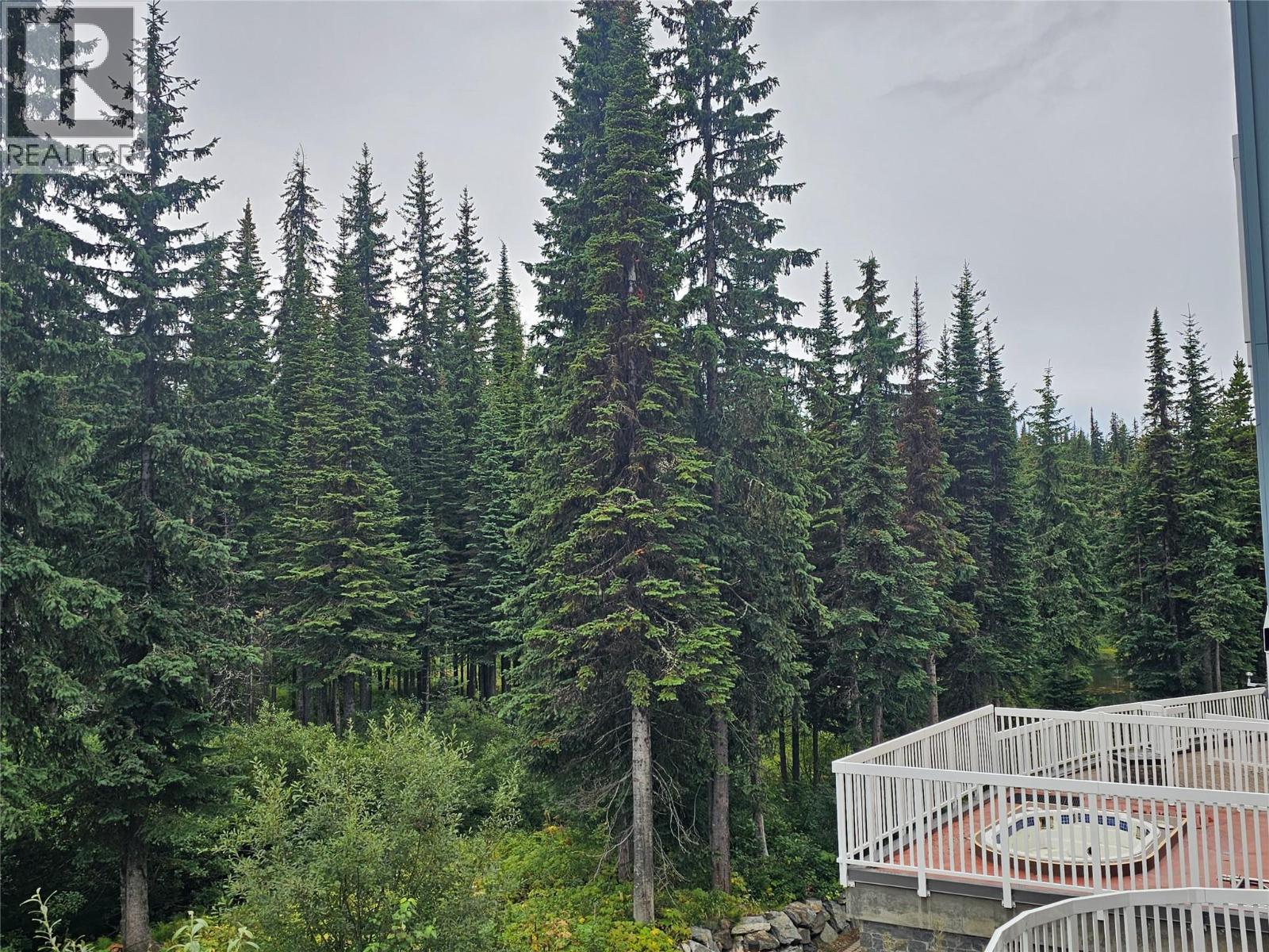 30 Monashee Road Unit# 208, Silver Star