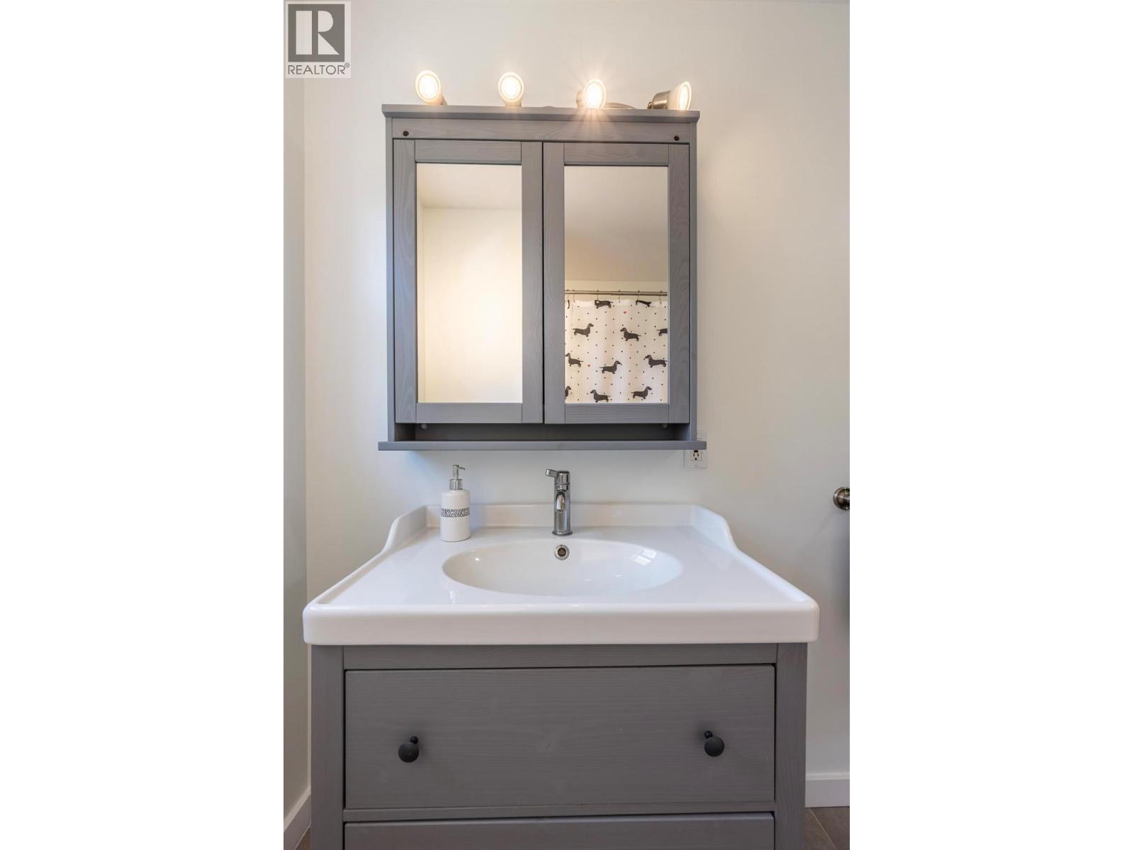 1424 Deer Ridge Road - 49