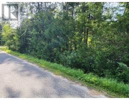 Lt 50 Cedar Grove Drive, Tiny, ON L0L2J0 Photo 11