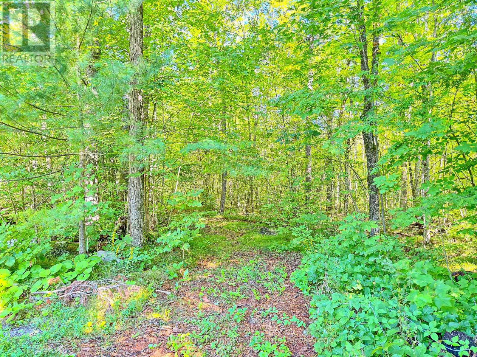 858 MILL ROAD - Image 40