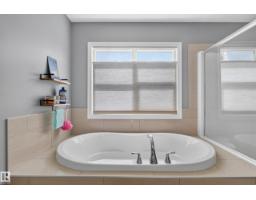 22933 94a Av Nw, Edmonton, AB T5T7B5 Photo 37