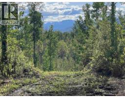 Lot 4 N Viewmount Road, Smithers, BC V0J2N6 Photo 8