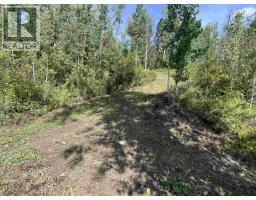 Lot 4 N Viewmount Road, Smithers, BC V0J2N6 Photo 10