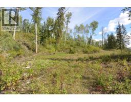 Lot 4 N Viewmount Road, Smithers, BC V0J2N6 Photo 17
