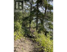 Lot 4 N Viewmount Road, Smithers, BC V0J2N6 Photo 34