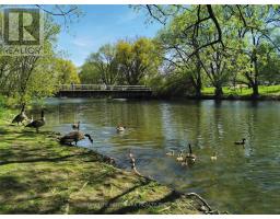 14a Gort Avenue, Toronto, ON M8W3Y5 Photo 37