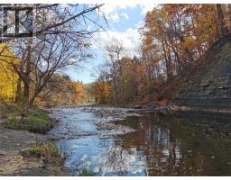 14a Gort Avenue, Toronto, ON M8W3Y5 Photo 38