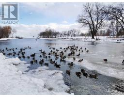 14a Gort Avenue, Toronto, ON M8W3Y5 Photo 39