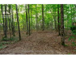 1155 Wolf Circle, Algonquin Highlands, ON P0A1E0 Photo 41