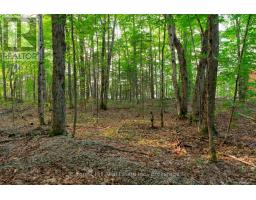 1155 Wolf Circle, Algonquin Highlands, ON P0A1E0 Photo 42