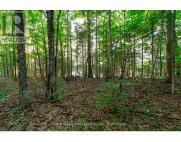 1155 Wolf Circle, Algonquin Highlands, ON P0A1E0 Photo 43
