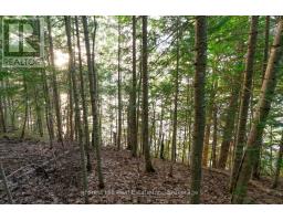 1155 Wolf Circle, Algonquin Highlands, ON P0A1E0 Photo 44