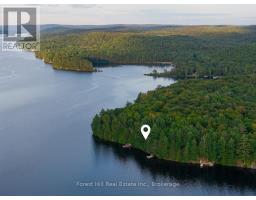 1155 Wolf Circle, Algonquin Highlands, ON P0A1E0 Photo 8