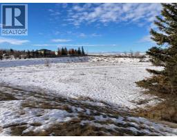 5 Acres, Rural Lethbridge County, AB T1K8G5 Photo 24