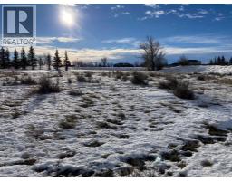 5 Acres, Rural Lethbridge County, AB T1K8G5 Photo 31