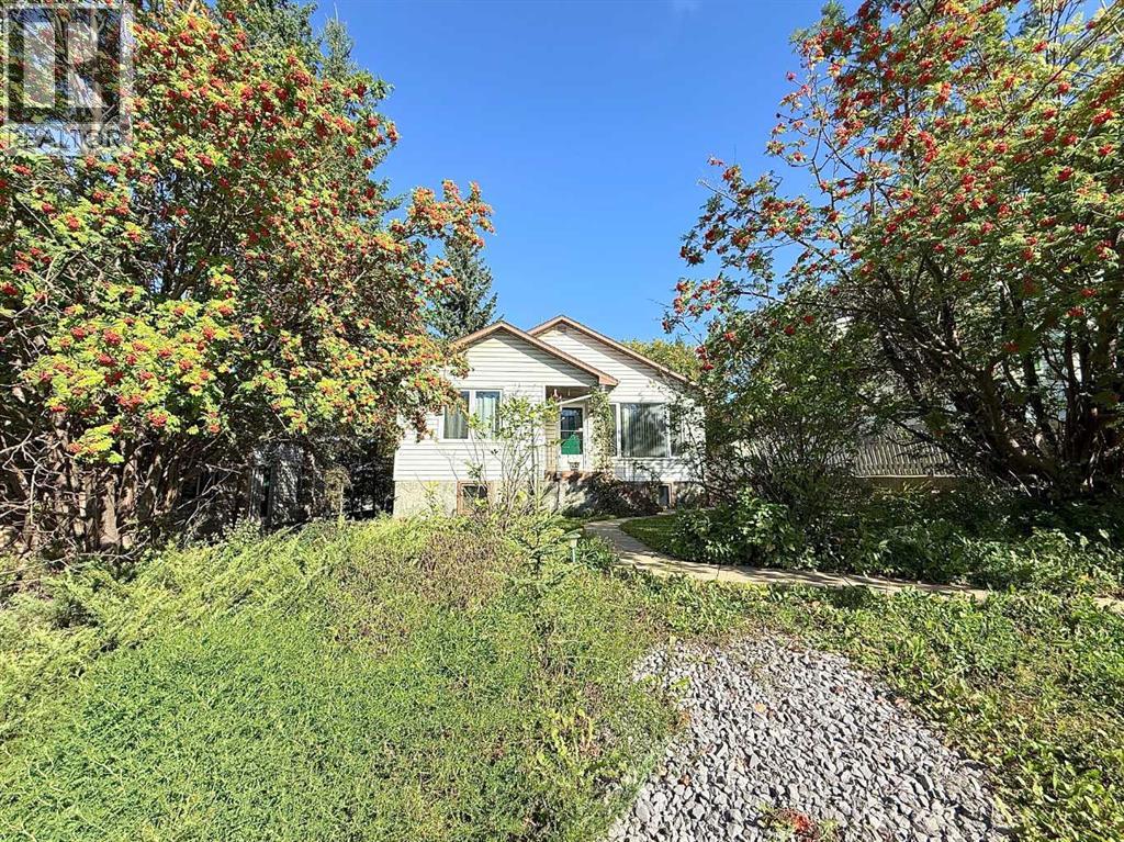 4904 53 Street - 31