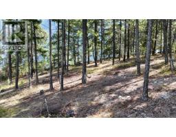 3170 Ponderosa Road, Pemberton, BC V0N1L0 Photo 24
