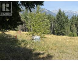 3170 Ponderosa Road, Pemberton, BC V0N1L0 Photo 38
