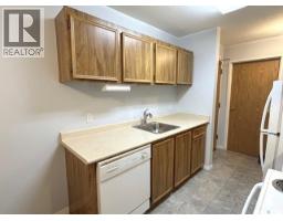 417 1580 Olive Diefenbaker Drive, Prince Albert, SK S6V7M6 Photo 11