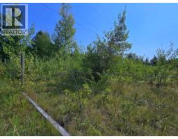 5031 Horsefly Road, Horsefly, BC V0L1L0 Photo 9