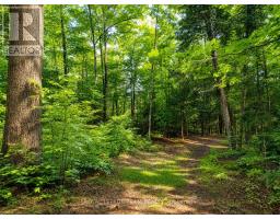 110 Mcvicar Lane, Mcnab/braeside, ON K0A3L0 Photo 7