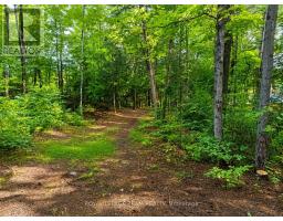 110 Mcvicar Lane, Mcnab/braeside, ON K0A3L0 Photo 8