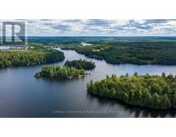 730 124 Highway, Mckellar, ON P0G1C0 Photo 39