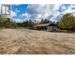 2286 Flos 10 Road, Springwater, ON L0L1P0 Photo 18