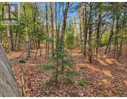 26 Blair Point Road, Seguin, ON P0C1J0 Photo 10