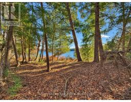 26 Blair Point Road, Seguin, ON P0C1J0 Photo 9
