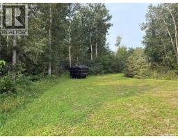 5 Delaronde Way, Delaronde Lake, SK S0J0E0 Photo 34